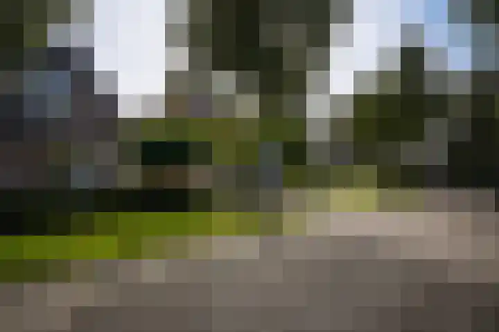 de Geren 12 Wamel thumbnail 37