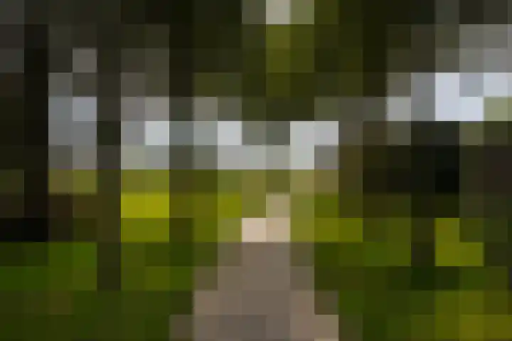 de Geren 12 Wamel thumbnail 39