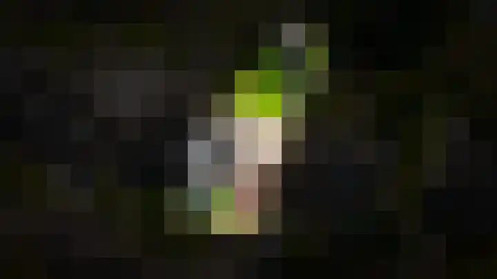 de Geren 12 Wamel thumbnail 41