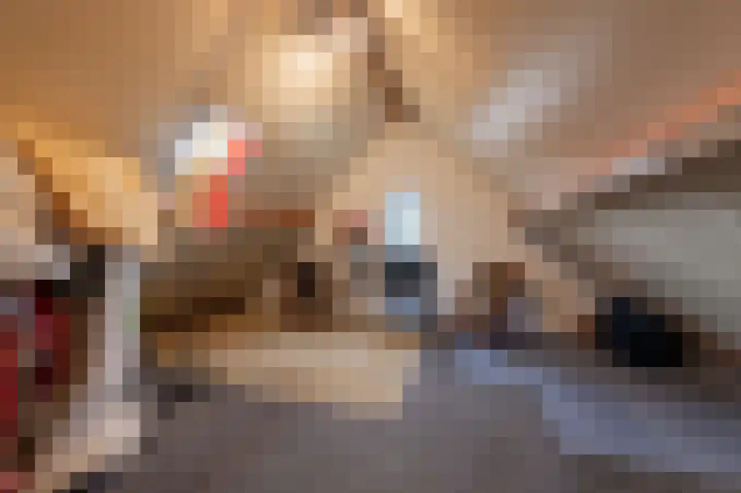 de Geren 15 Wamel thumbnail 41