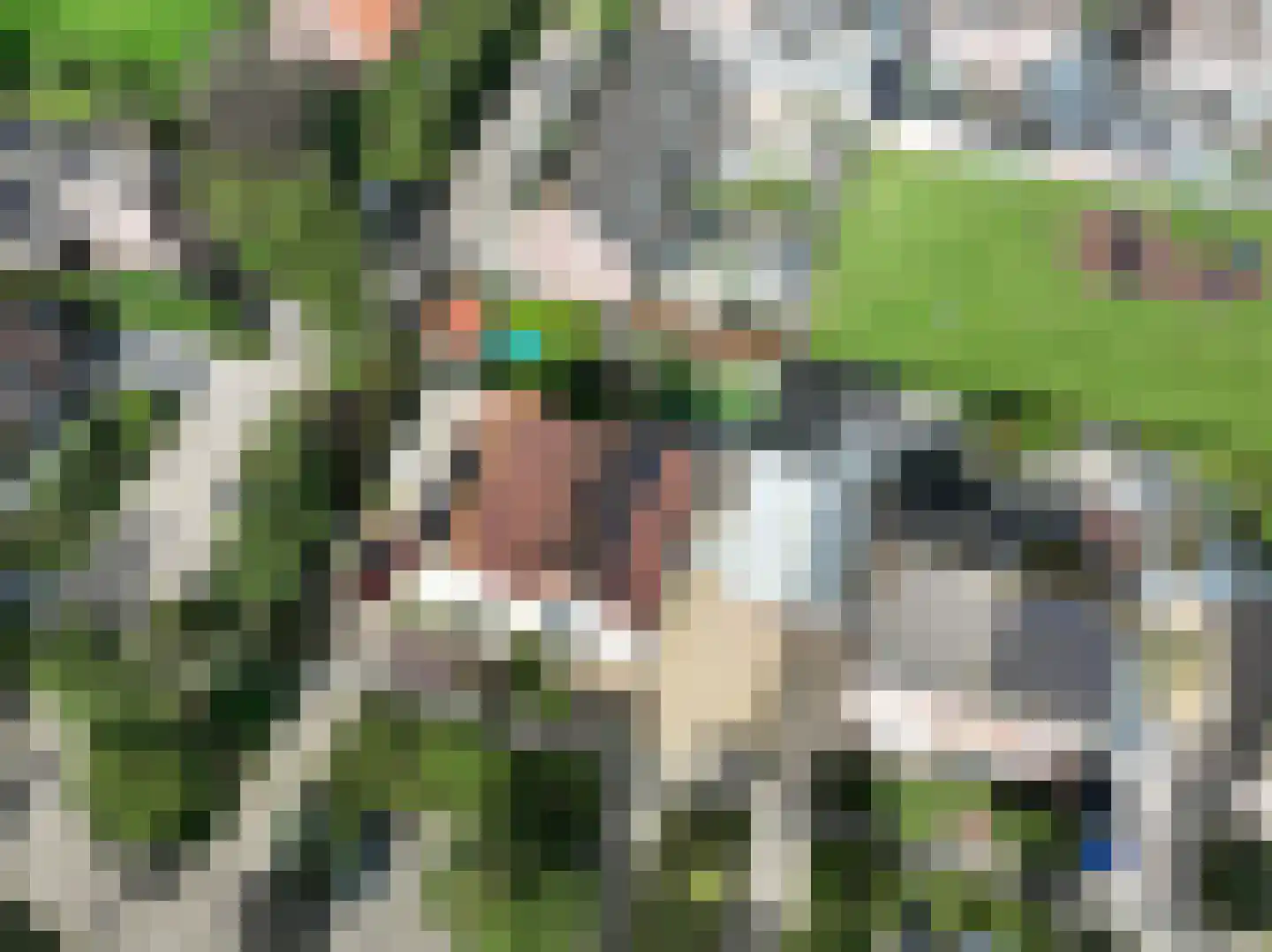 de Geren 15 Wamel thumbnail 42