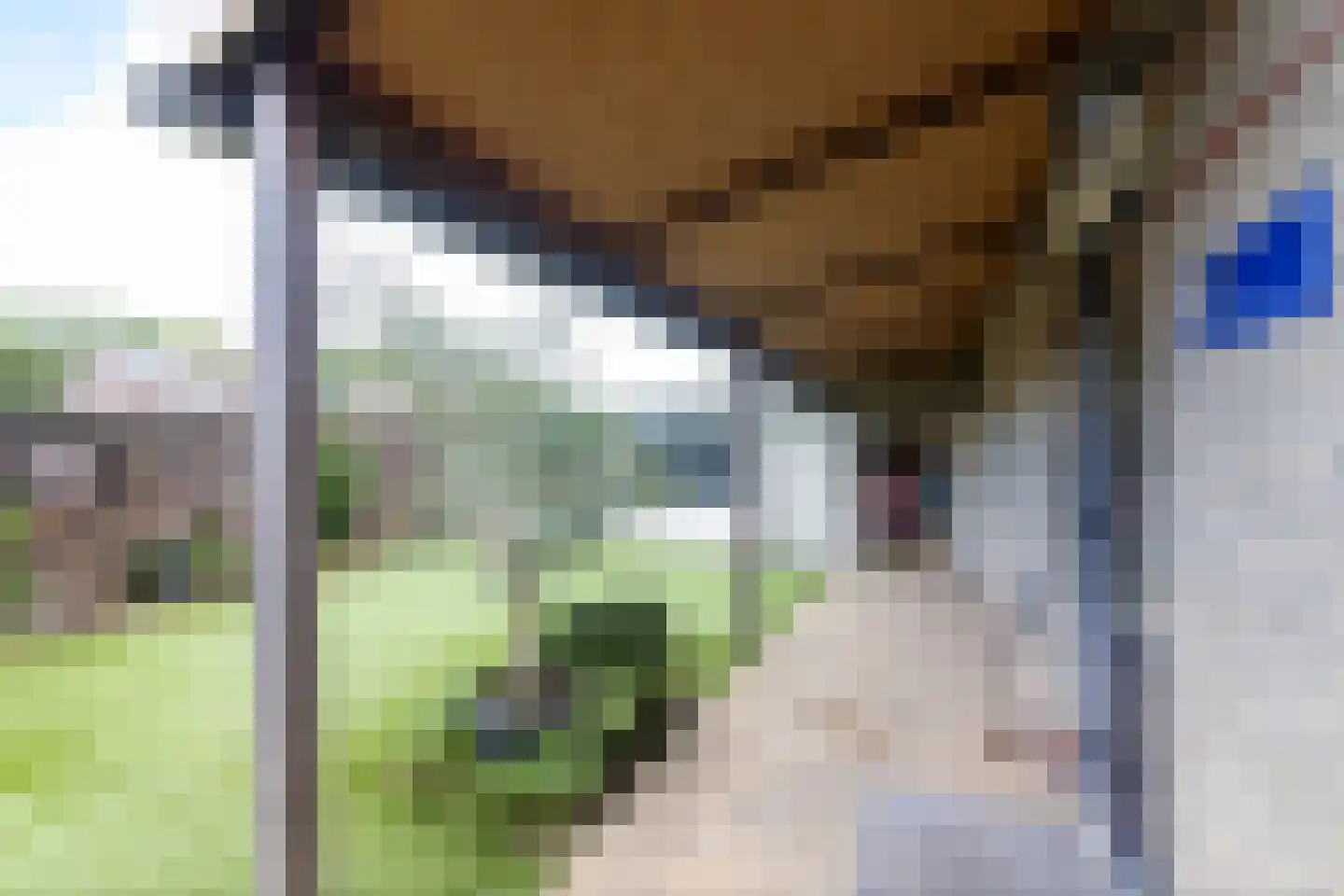 de Geren 15 Wamel thumbnail 48
