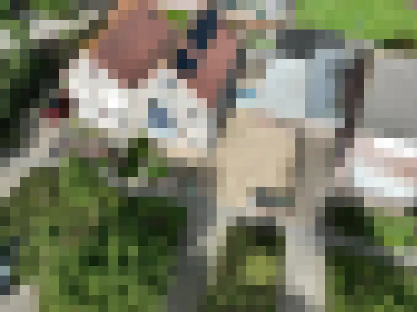 de Geren 15 Wamel thumbnail 5