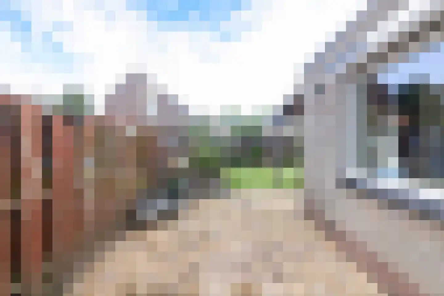 de Geren 15 Wamel thumbnail 50
