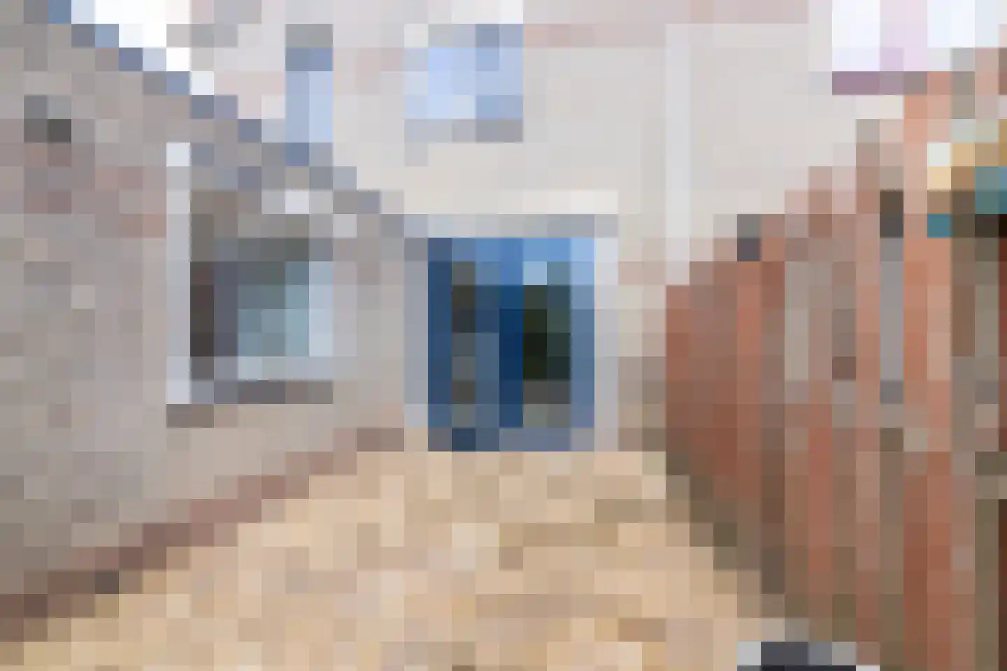 de Geren 15 Wamel thumbnail 51