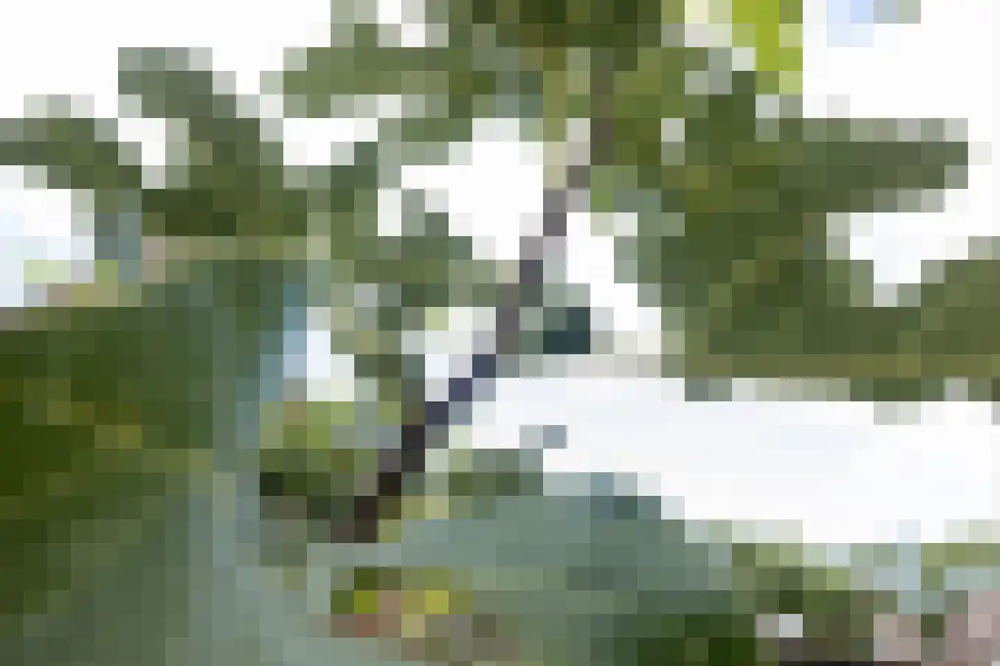 de Geren 15 Wamel thumbnail 52