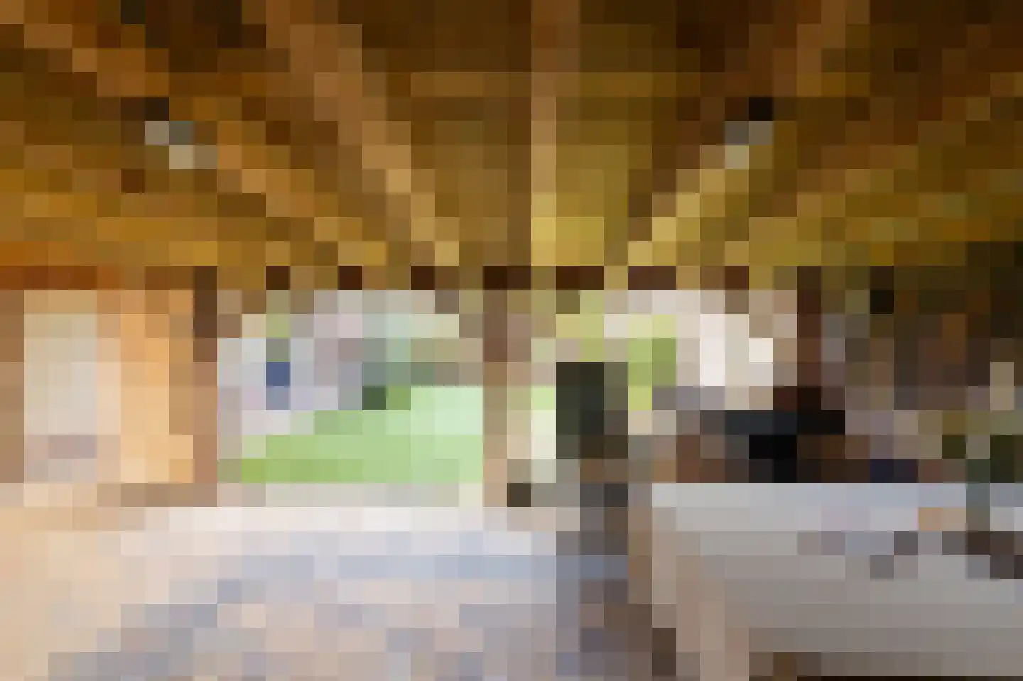 de Geren 15 Wamel thumbnail 56