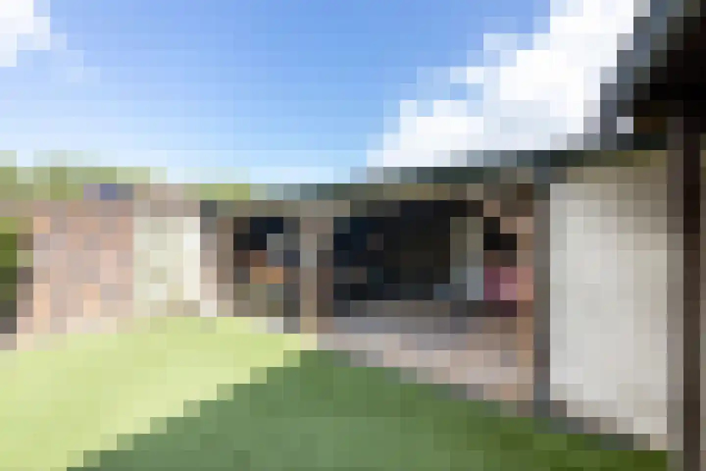 de Geren 15 Wamel thumbnail 61