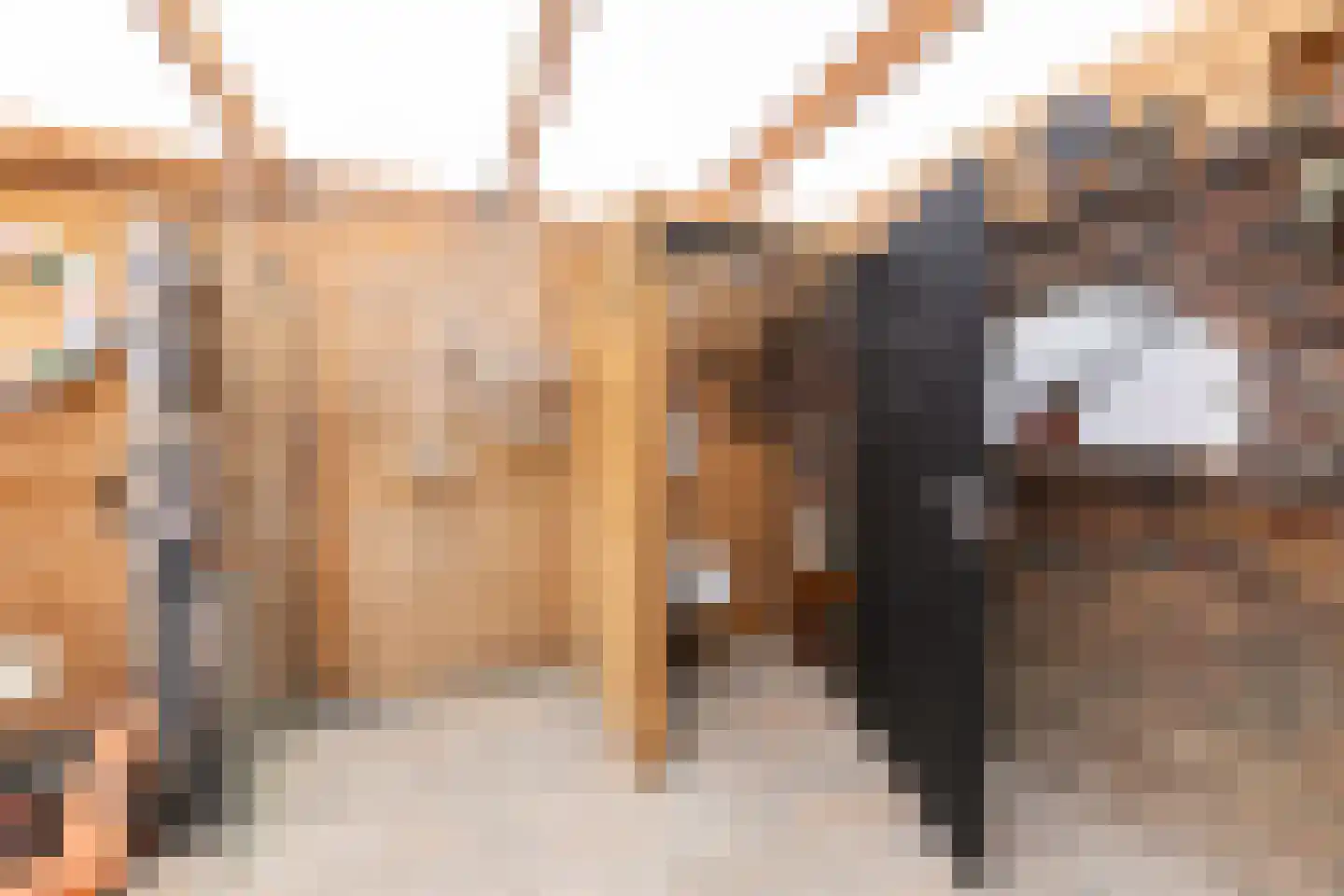 de Geren 15 Wamel thumbnail 63