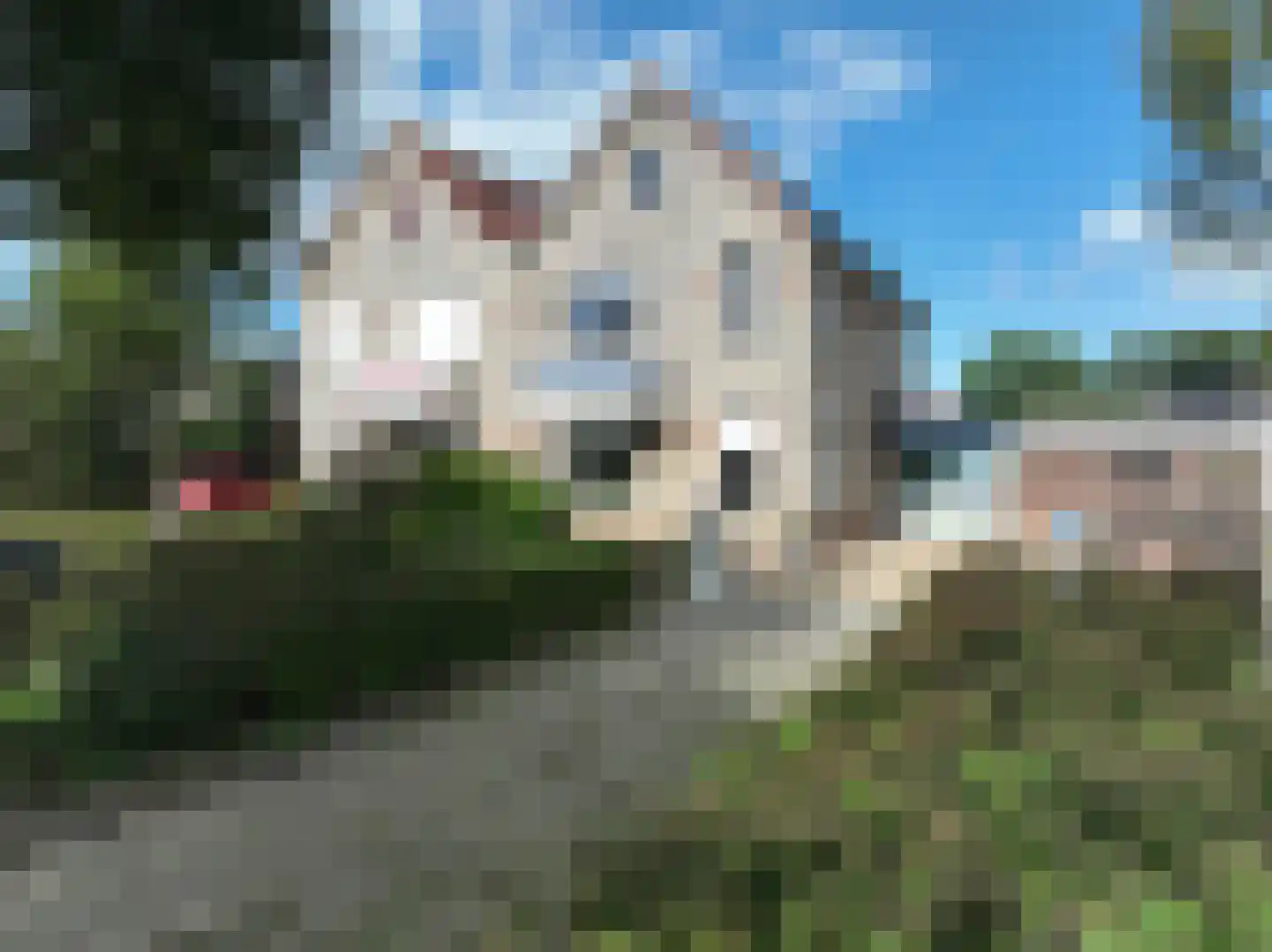 de Geren 15 Wamel thumbnail 74