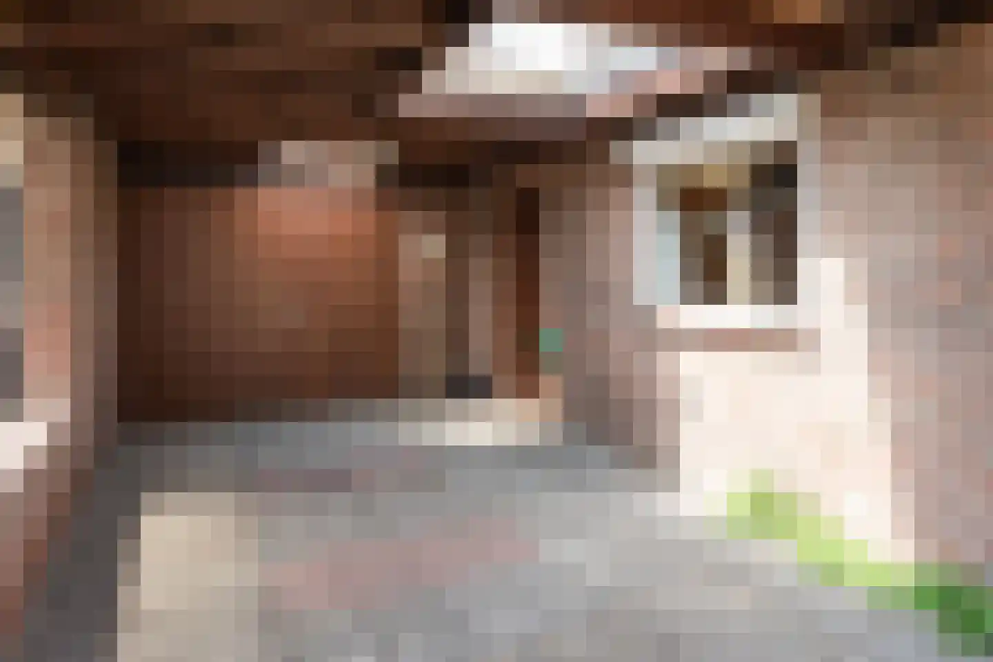De Geren 17 Uden thumbnail 4