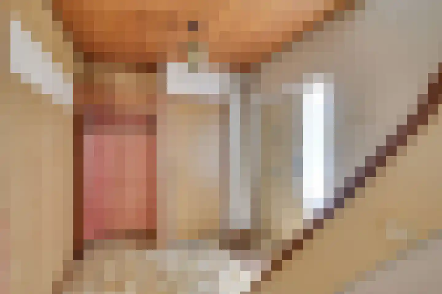 De Geren 17 Uden thumbnail 5