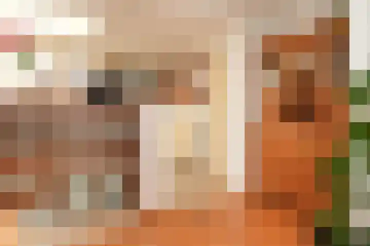 de Geren 3 Wamel thumbnail 14