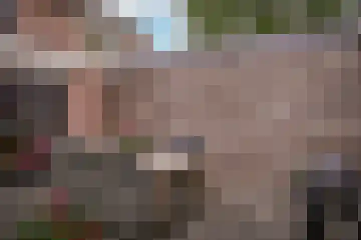 de Geren 3 Wamel thumbnail 18
