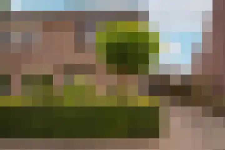 de Geren 3 Wamel thumbnail 46