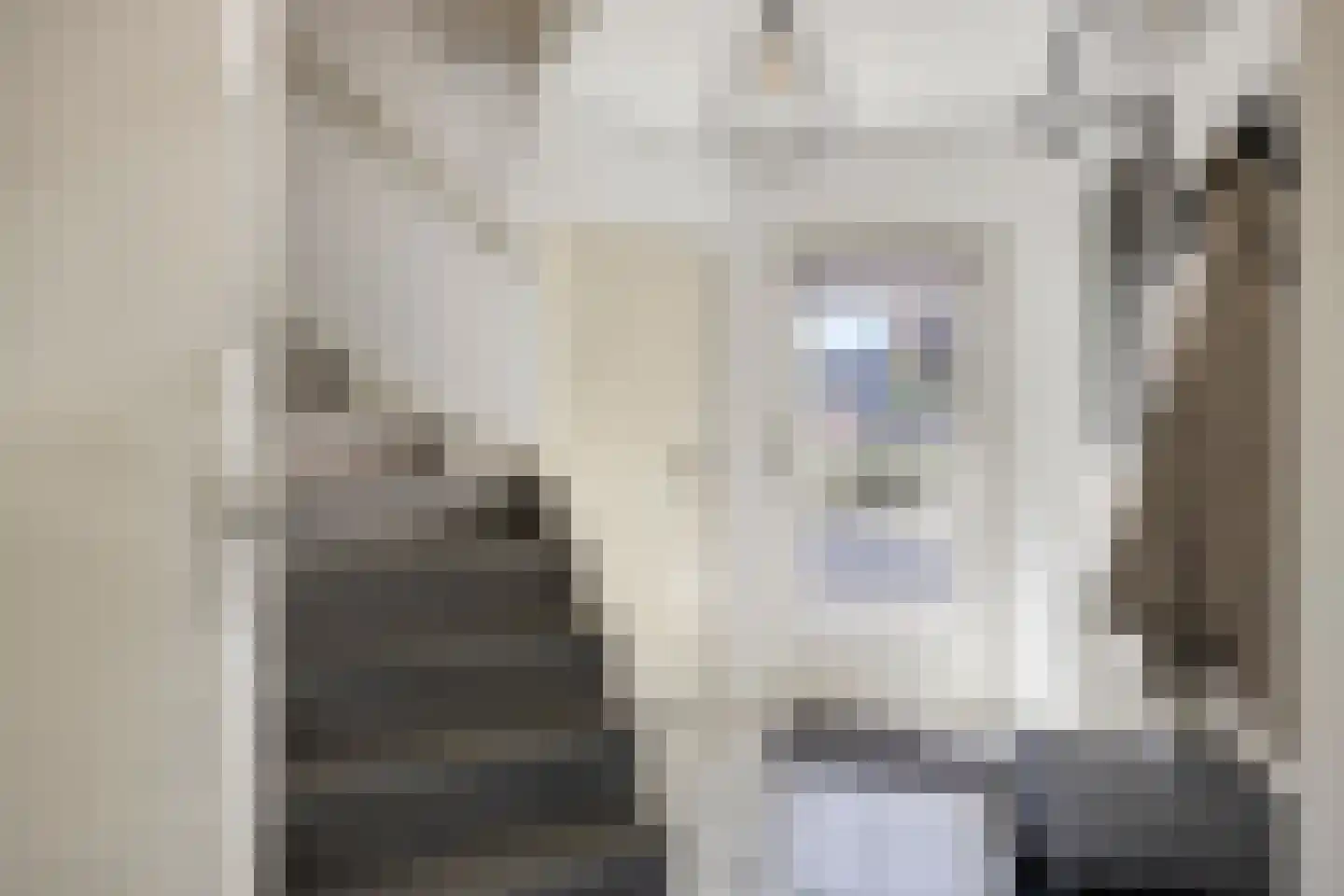 De Gerst 32 Heesch thumbnail 13
