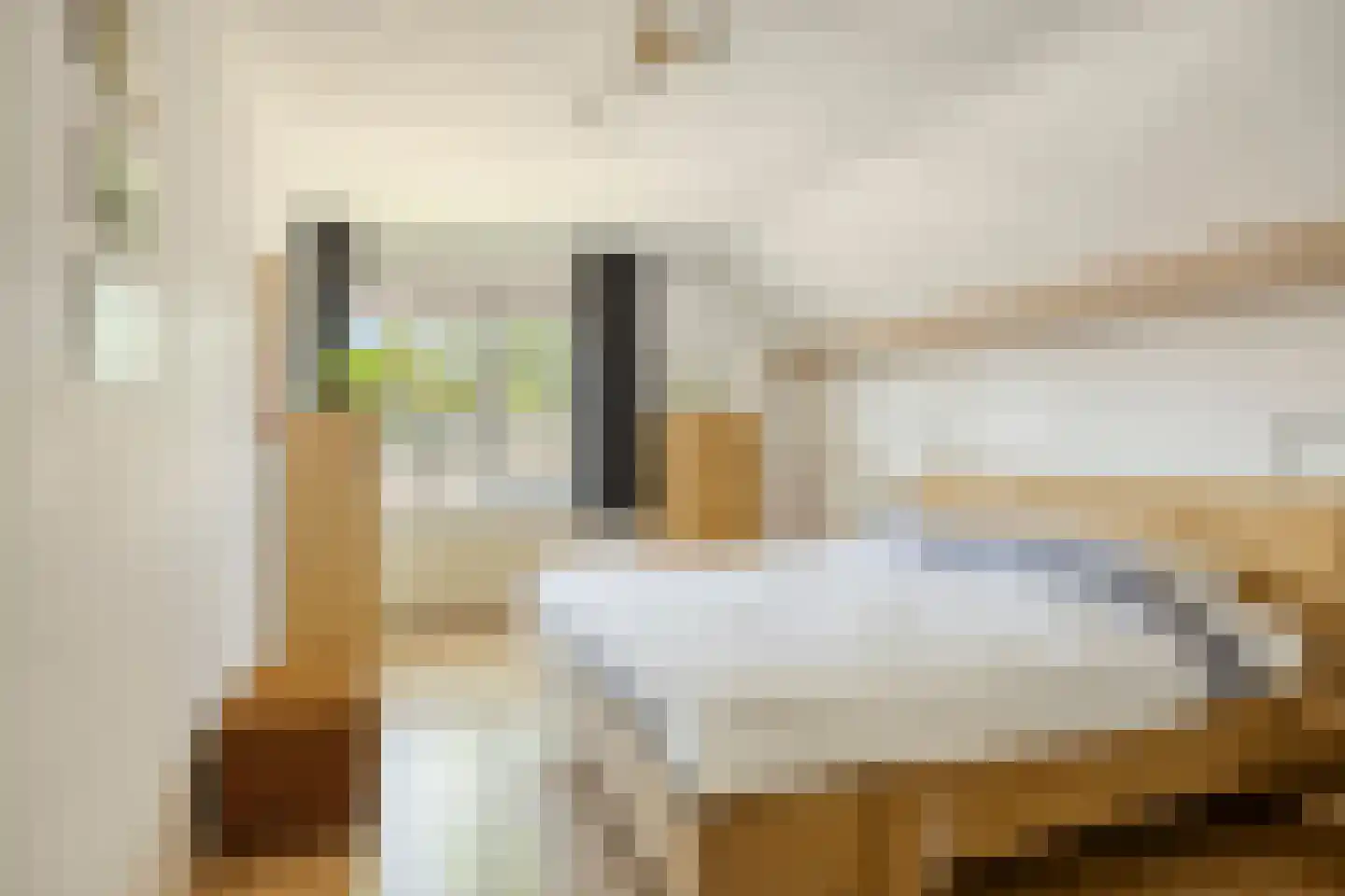 De Gerst 32 Heesch thumbnail 14