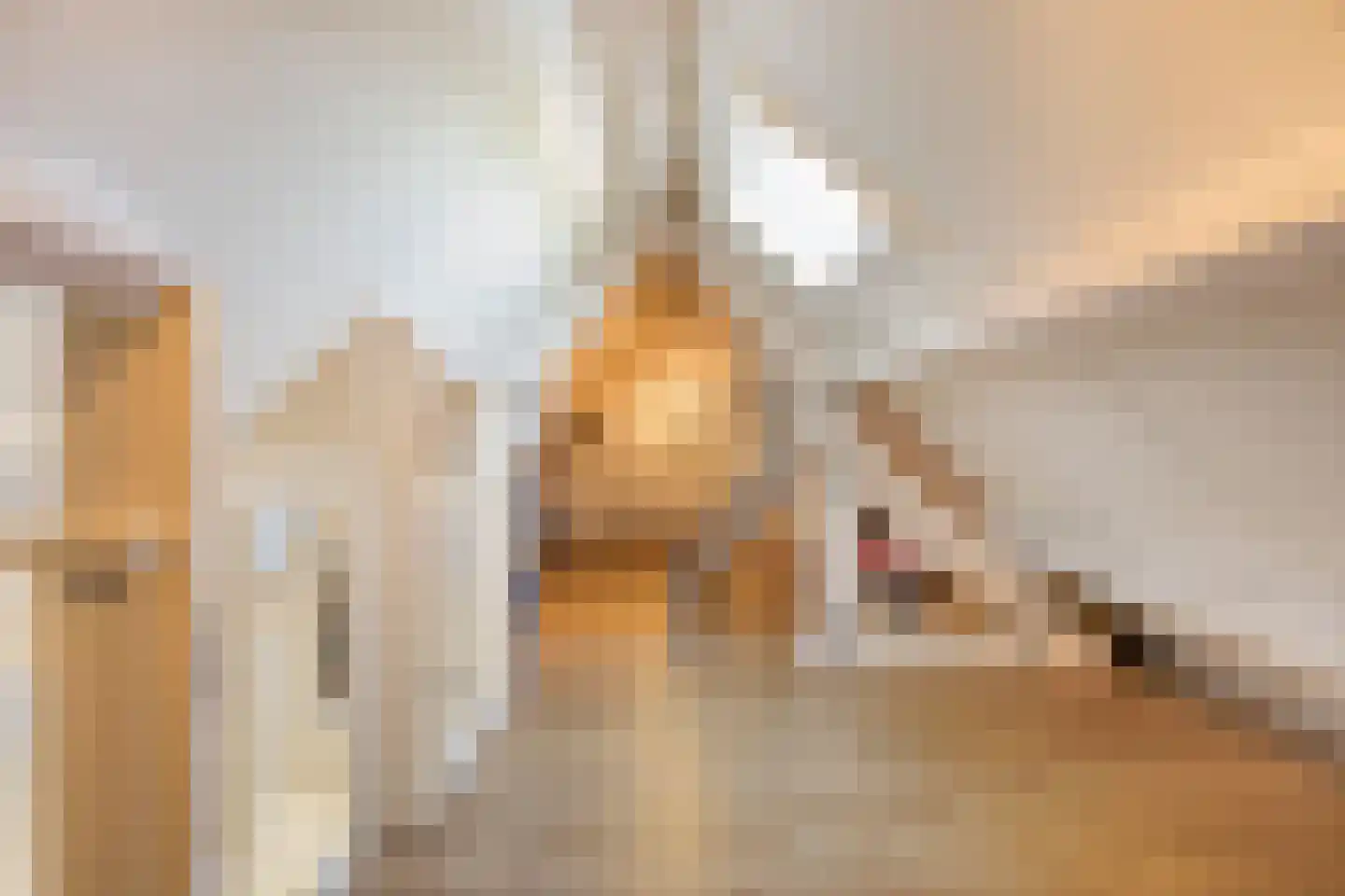 De Gerst 32 Heesch thumbnail 22