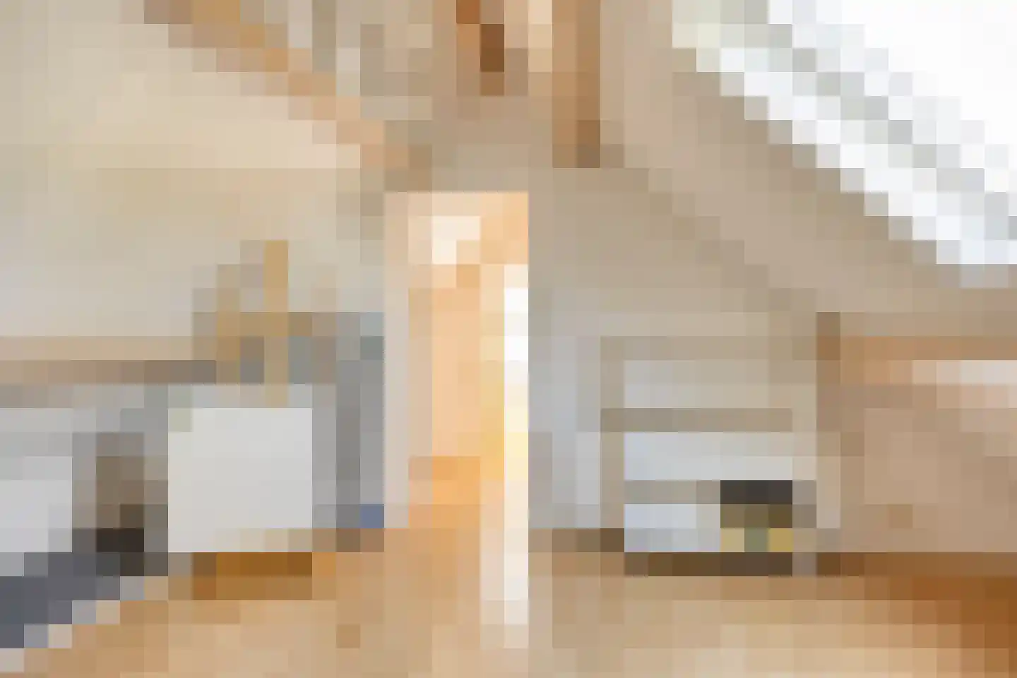 De Gerst 32 Heesch thumbnail 25