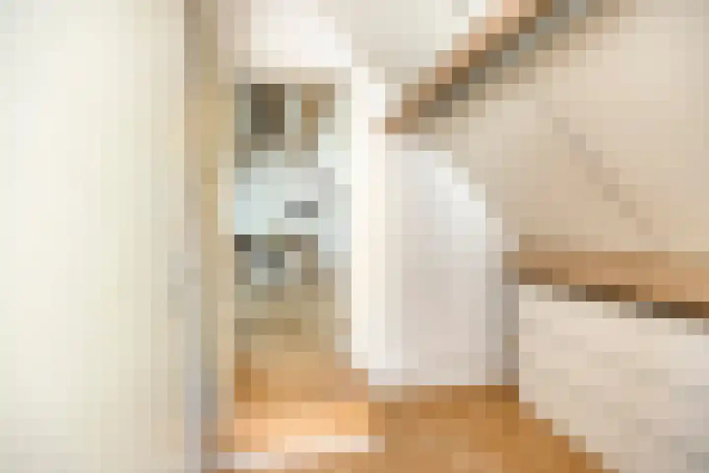 De Gerst 32 Heesch thumbnail 26