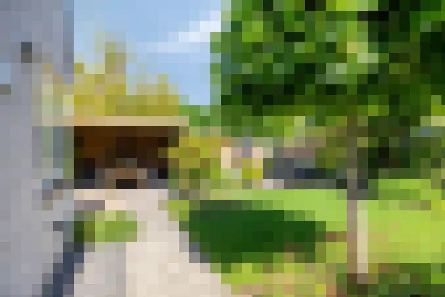 De Gerst 32 Heesch thumbnail 29