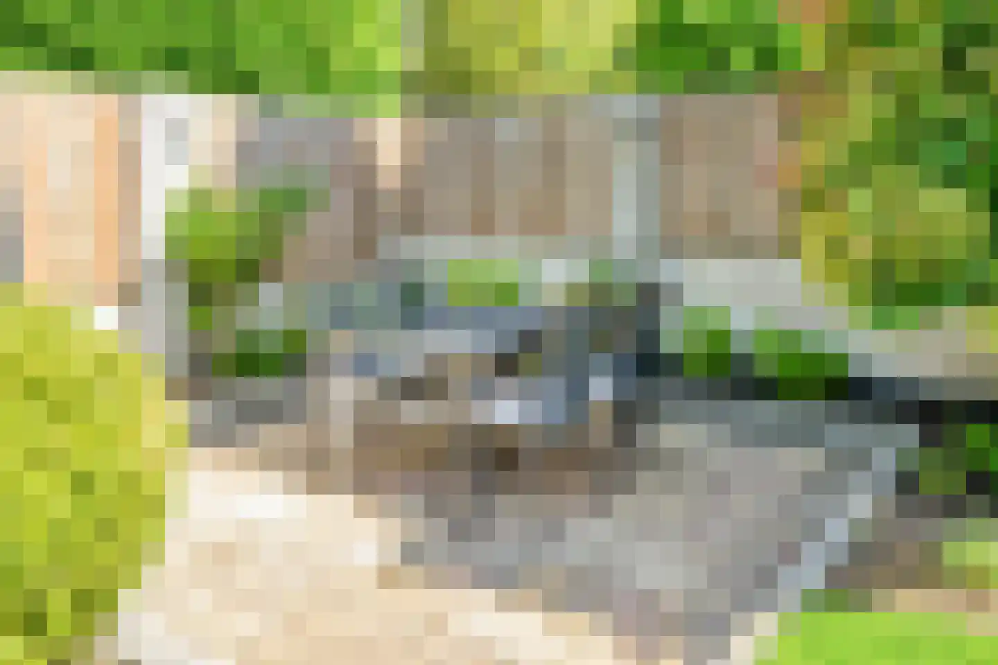 De Gerst 32 Heesch thumbnail 33