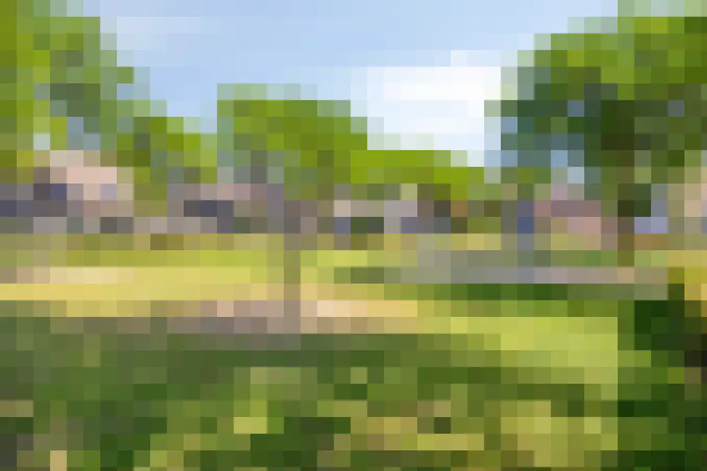 De Gerst 32 Heesch thumbnail 37