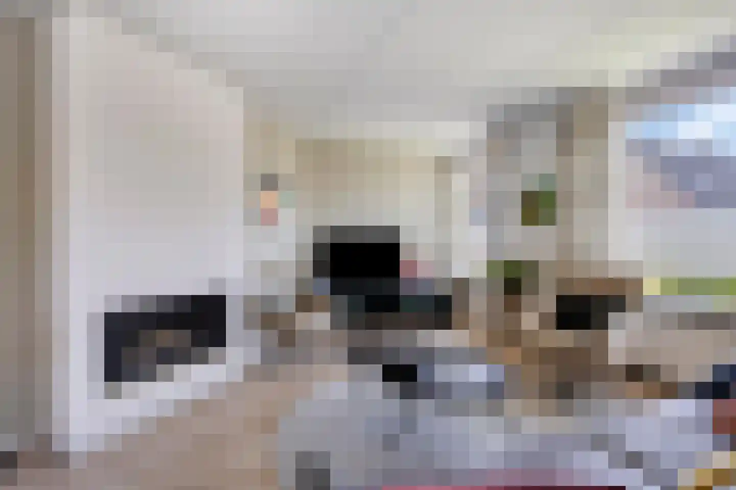 De Gerst 32 Heesch thumbnail 5