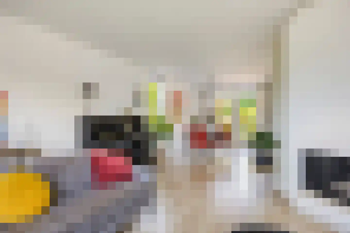De Gerst 32 Heesch thumbnail 7