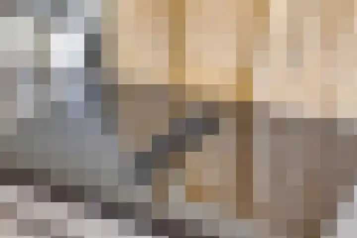 de Gervelink 26 Denekamp thumbnail 12