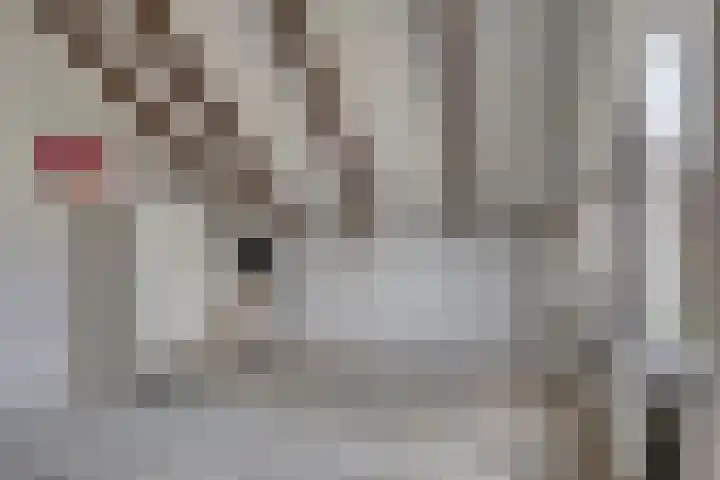 de Gervelink 26 Denekamp thumbnail 28