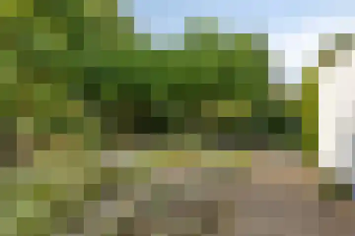 de Gervelink 26 Denekamp thumbnail 33