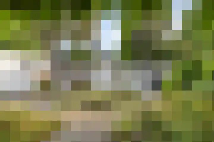 de Gervelink 26 Denekamp thumbnail 35