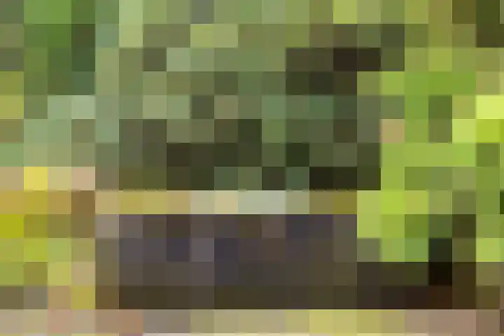 de Gervelink 26 Denekamp thumbnail 39