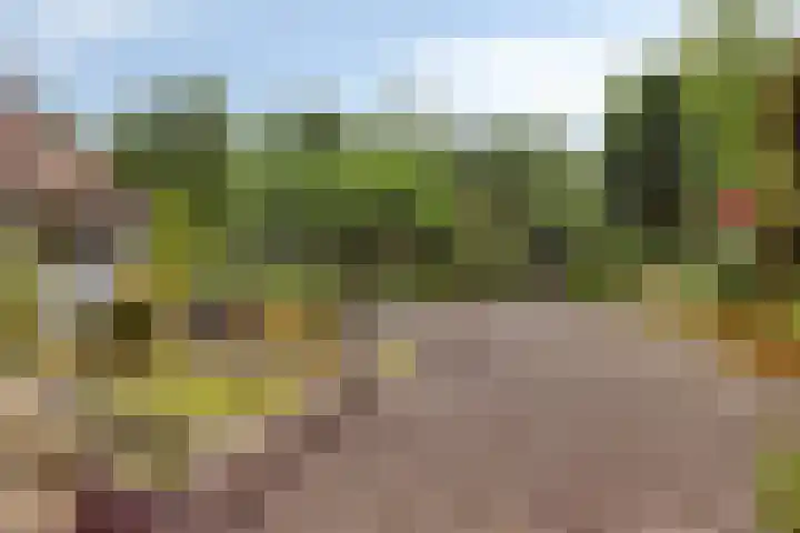 de Gervelink 26 Denekamp thumbnail 40