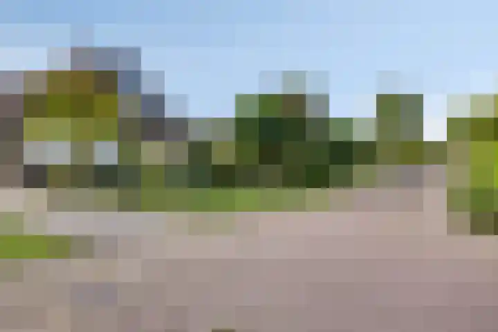 de Gervelink 26 Denekamp thumbnail 41