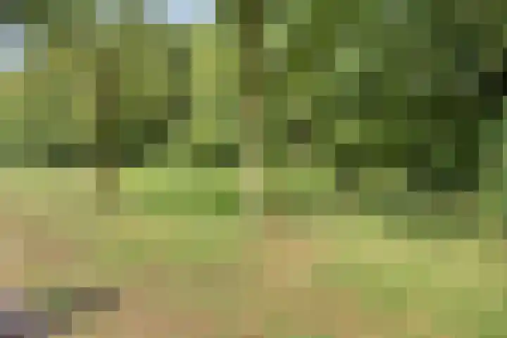 de Gervelink 26 Denekamp thumbnail 42