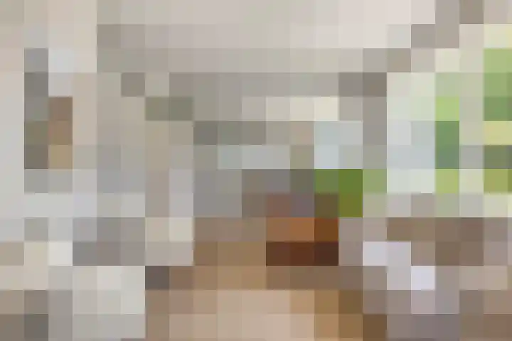 de Gervelink 26 Denekamp thumbnail 7