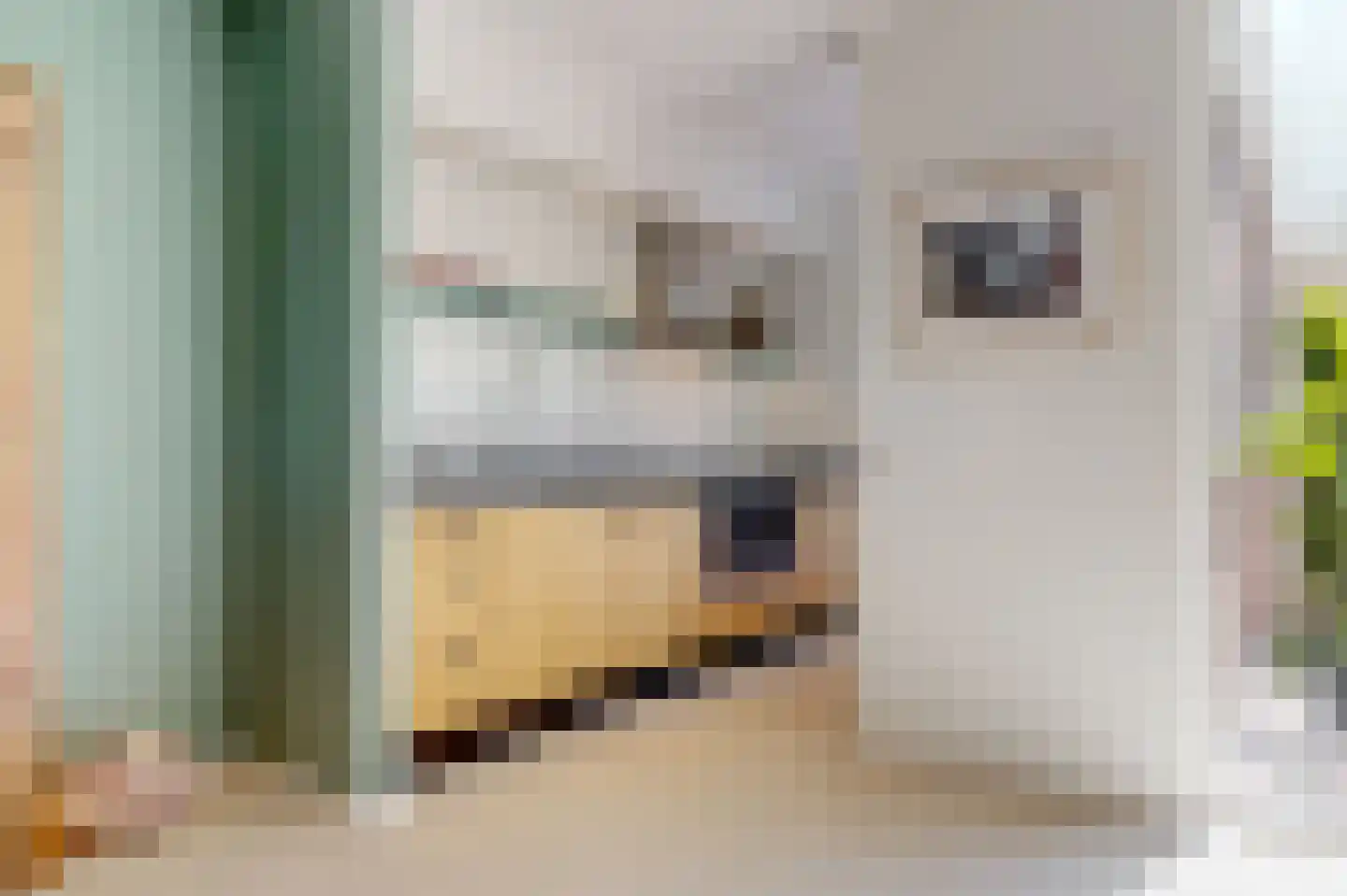 de Geul 1 Woerden thumbnail 10