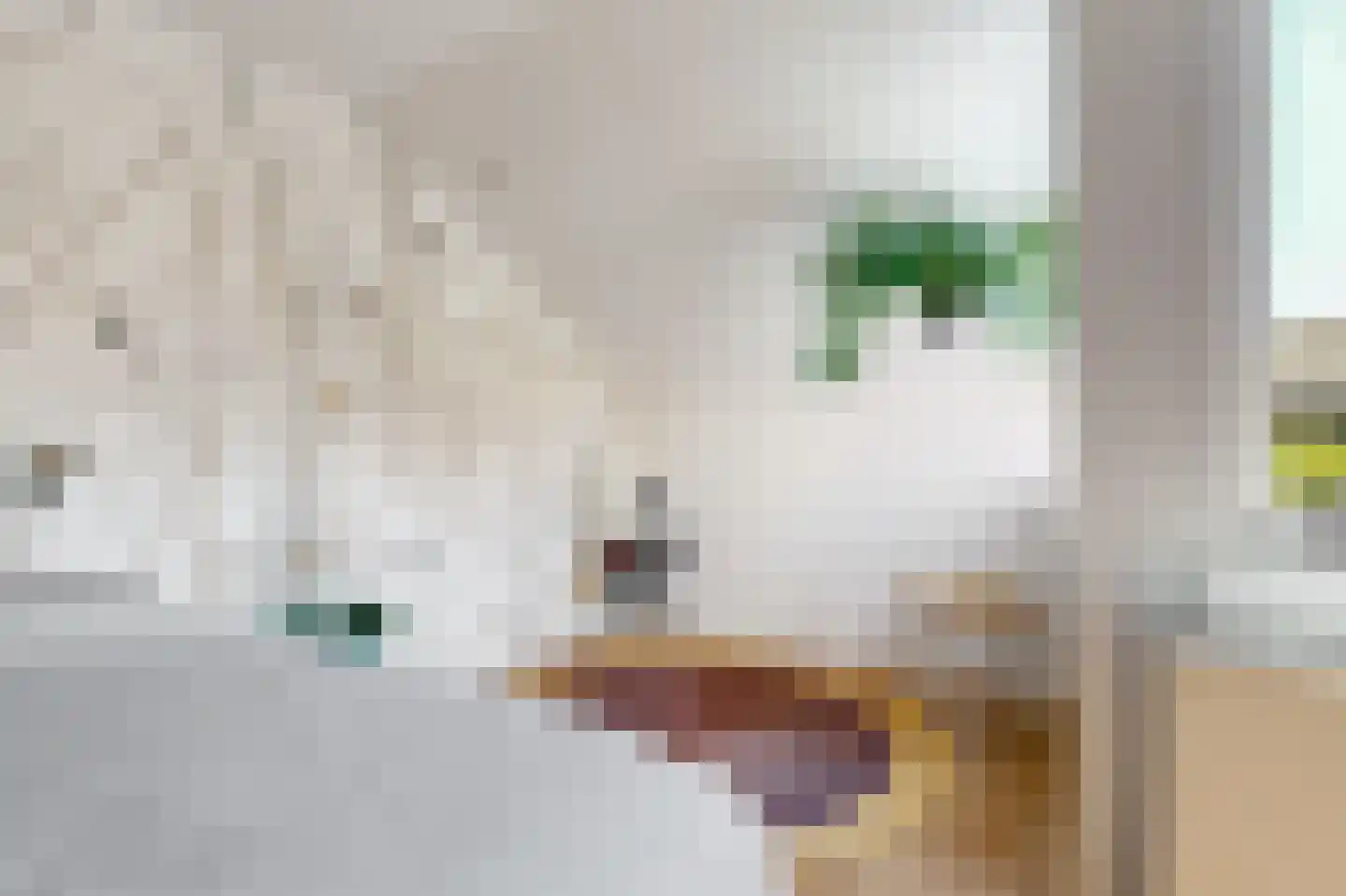 de Geul 1 Woerden thumbnail 22