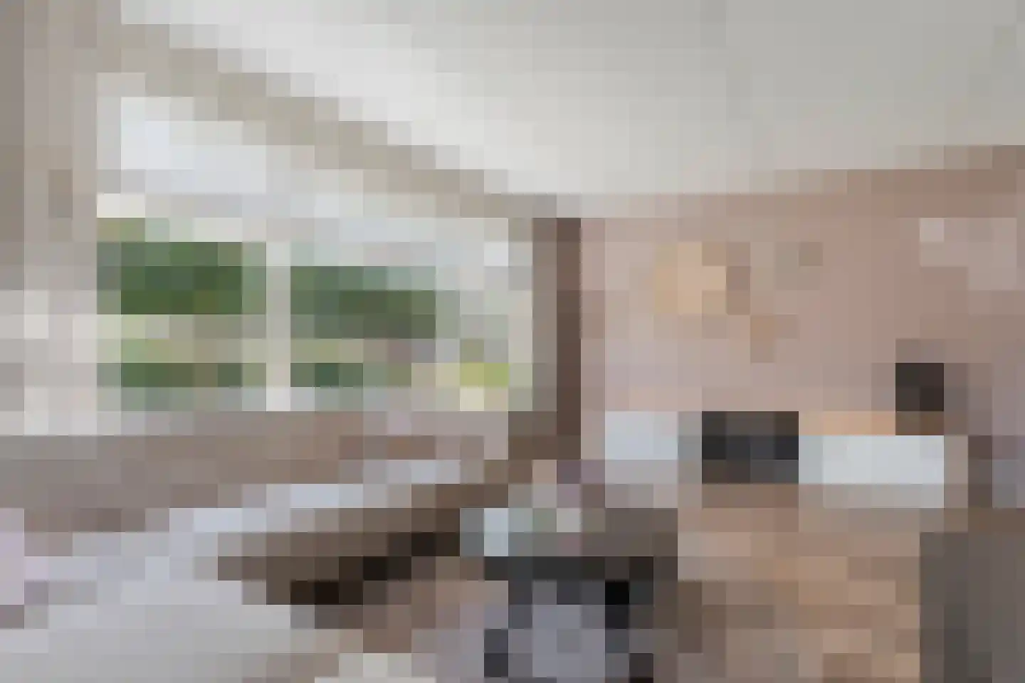 De Geurne 1 Gramsbergen thumbnail 22