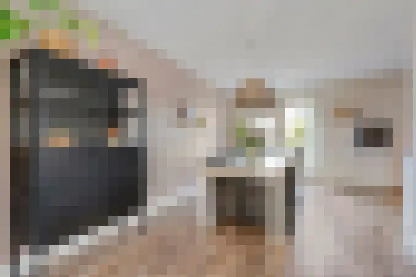 De Geurne 1 Gramsbergen thumbnail 25
