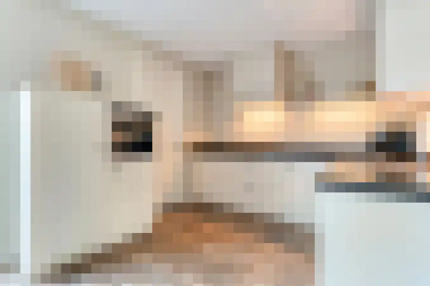 De Geurne 1 Gramsbergen thumbnail 30
