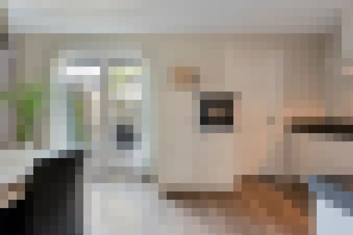 De Geurne 1 Gramsbergen thumbnail 32