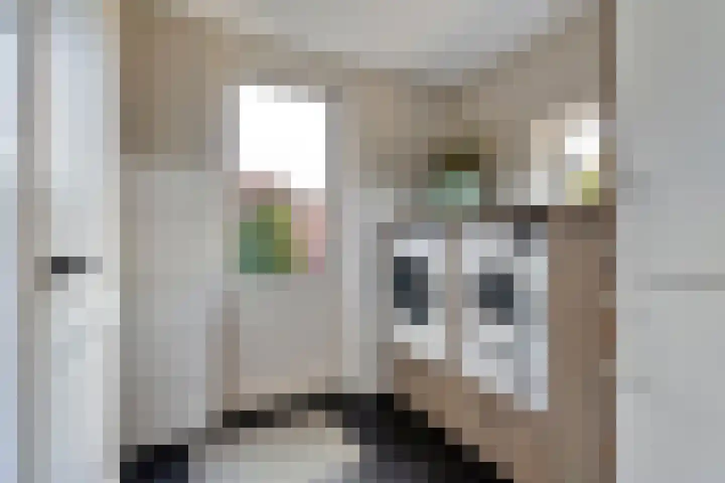 De Geurne 1 Gramsbergen thumbnail 33