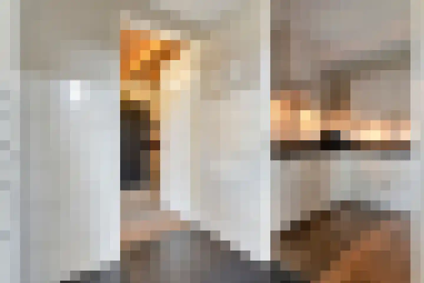 De Geurne 1 Gramsbergen thumbnail 34
