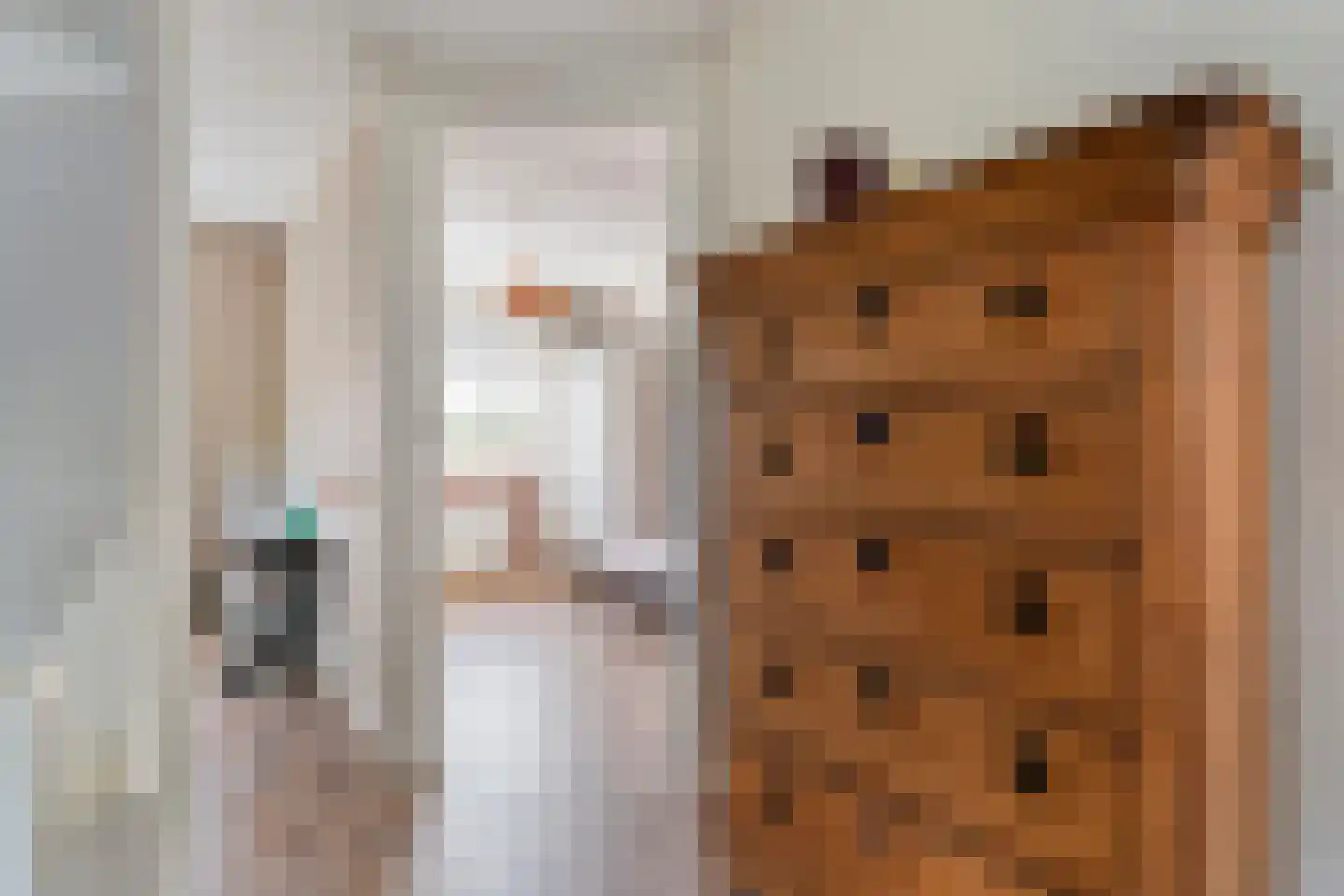 De Geurne 1 Gramsbergen thumbnail 36