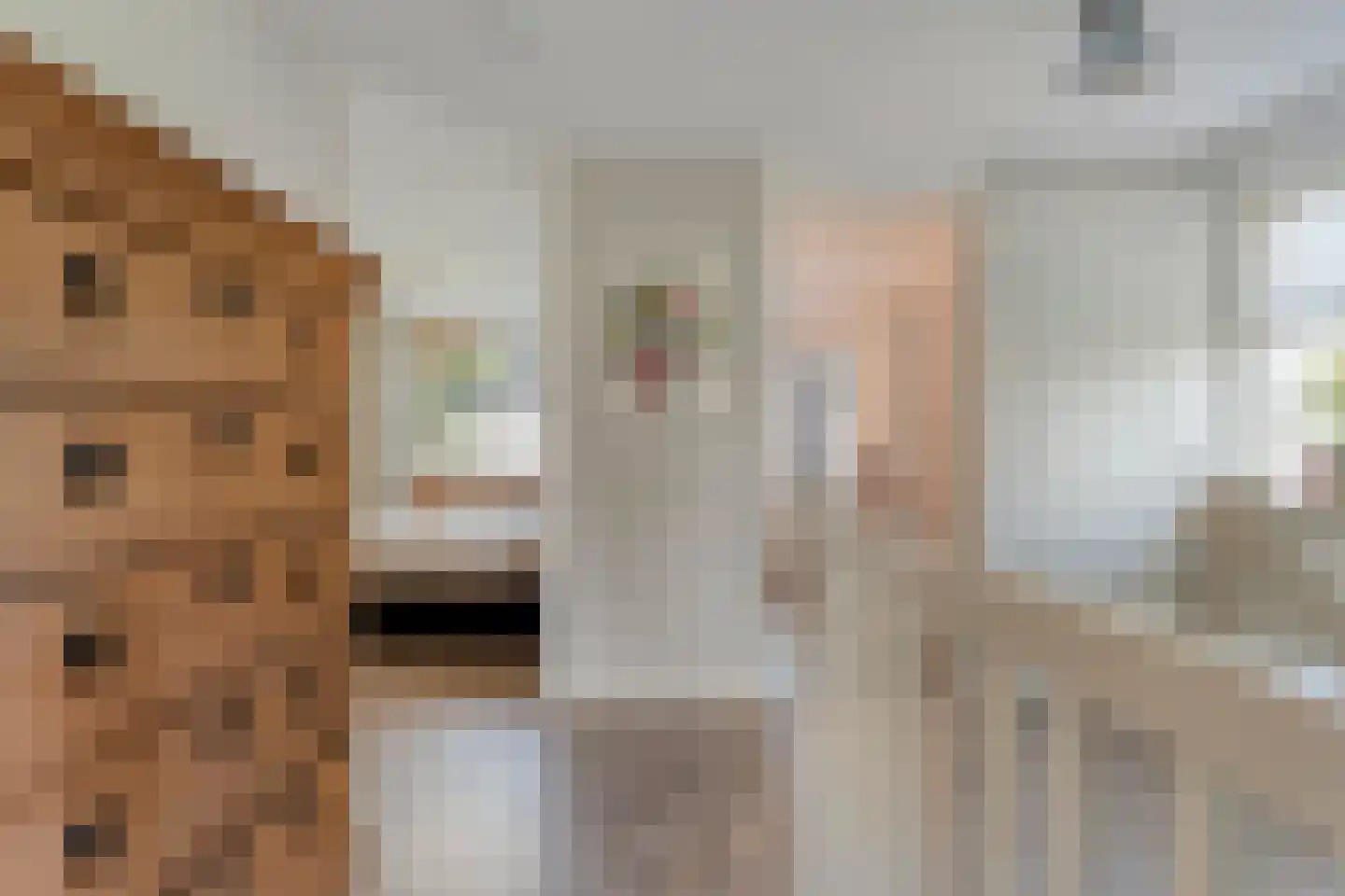 De Geurne 1 Gramsbergen thumbnail 37