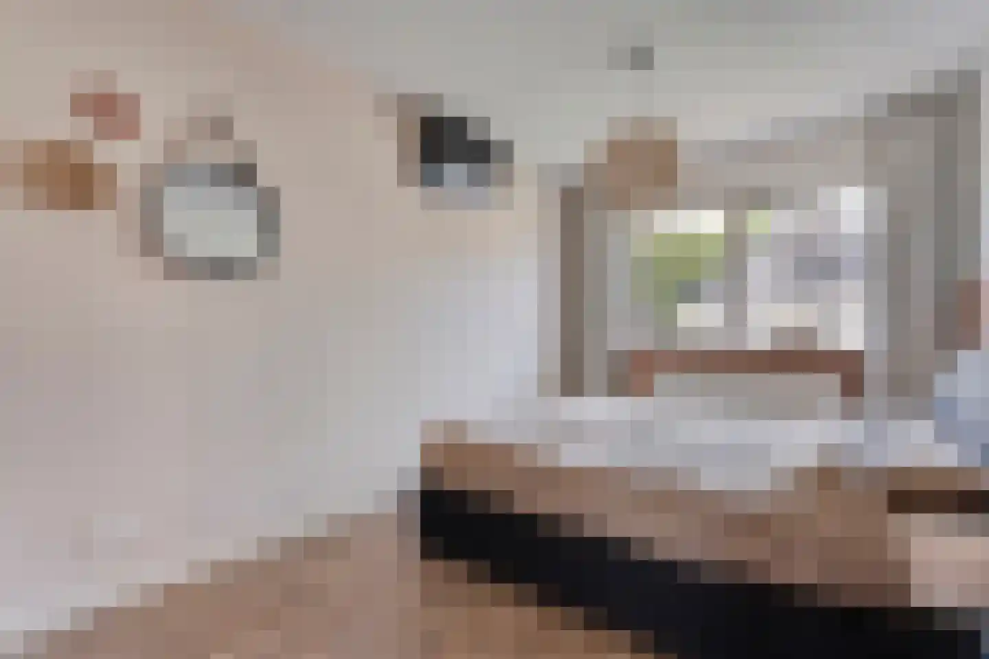De Geurne 1 Gramsbergen thumbnail 38