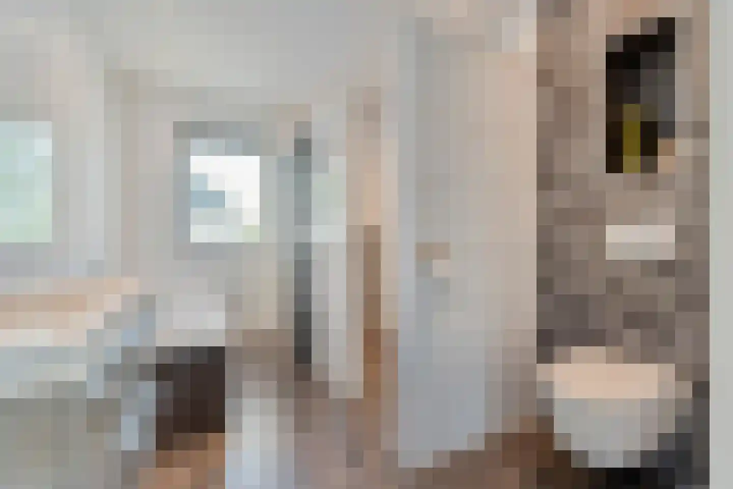 De Geurne 1 Gramsbergen thumbnail 46